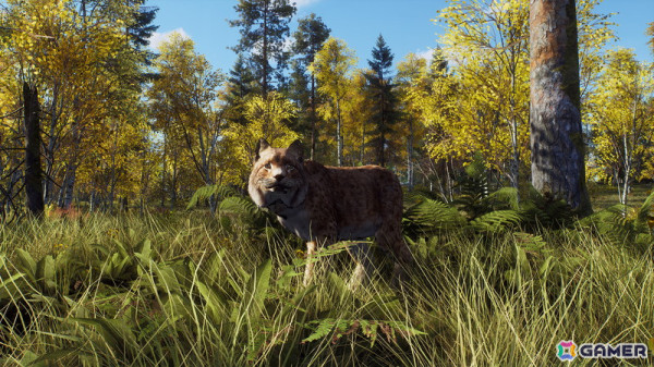 「Way of the Hunter」のDLC「リントゥコト保護区」が8月2日に配信！北部リンクスや山岳トナカイ、北極キツネなど豊かな野生動物が生息の画像