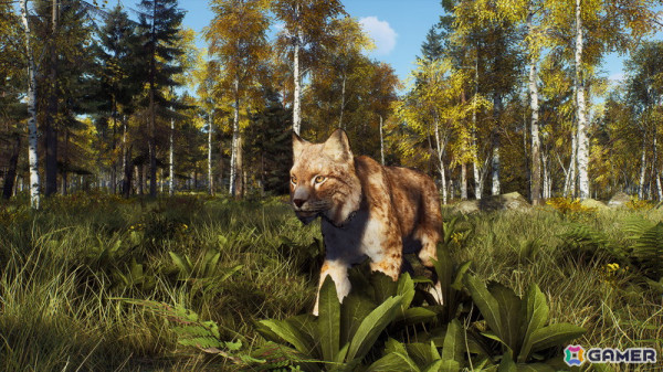 「Way of the Hunter」のDLC「リントゥコト保護区」が8月2日に配信！北部リンクスや山岳トナカイ、北極キツネなど豊かな野生動物が生息の画像