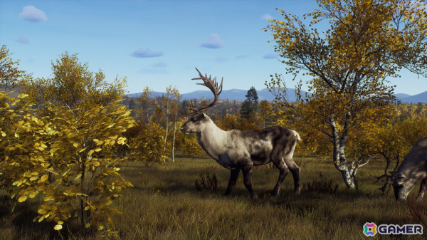 「Way of the Hunter」のDLC「リントゥコト保護区」が8月2日に配信！北部リンクスや山岳トナカイ、北極キツネなど豊かな野生動物が生息の画像