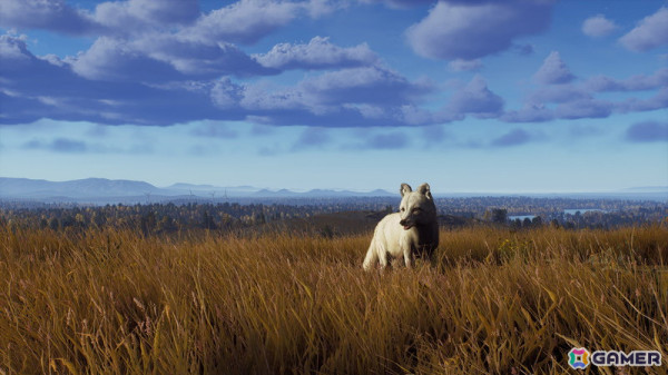 「Way of the Hunter」のDLC「リントゥコト保護区」が8月2日に配信！北部リンクスや山岳トナカイ、北極キツネなど豊かな野生動物が生息の画像