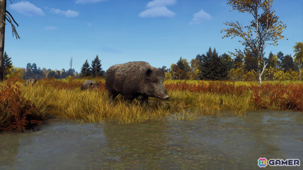「Way of the Hunter」のDLC「リントゥコト保護区」が8月2日に配信！北部リンクスや山岳トナカイ、北極キツネなど豊かな野生動物が生息の画像