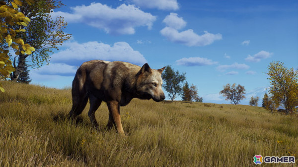 「Way of the Hunter」のDLC「リントゥコト保護区」が8月2日に配信！北部リンクスや山岳トナカイ、北極キツネなど豊かな野生動物が生息の画像