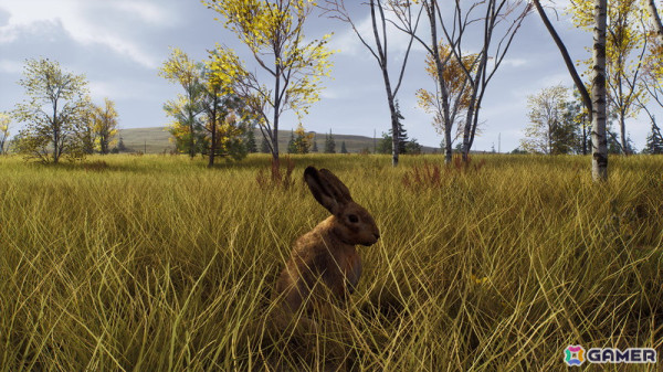 「Way of the Hunter」のDLC「リントゥコト保護区」が8月2日に配信！北部リンクスや山岳トナカイ、北極キツネなど豊かな野生動物が生息の画像