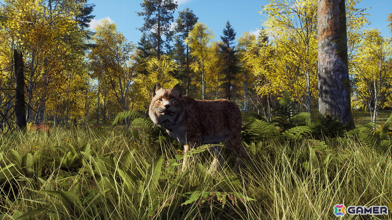 「Way of the Hunter」のDLC「リントゥコト保護区」が8月2日に配信！北部リンクスや山岳トナカイ、北極キツネなど豊かな野生動物が生息の画像10