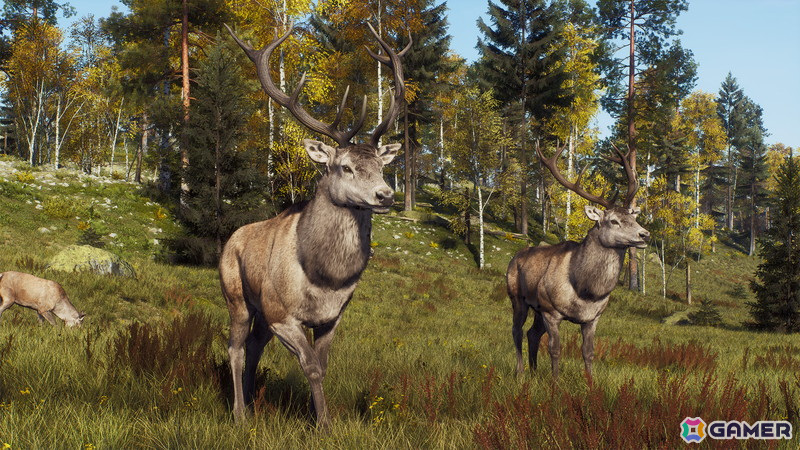 「Way of the Hunter」のDLC「リントゥコト保護区」が8月2日に配信！北部リンクスや山岳トナカイ、北極キツネなど豊かな野生動物が生息の画像12