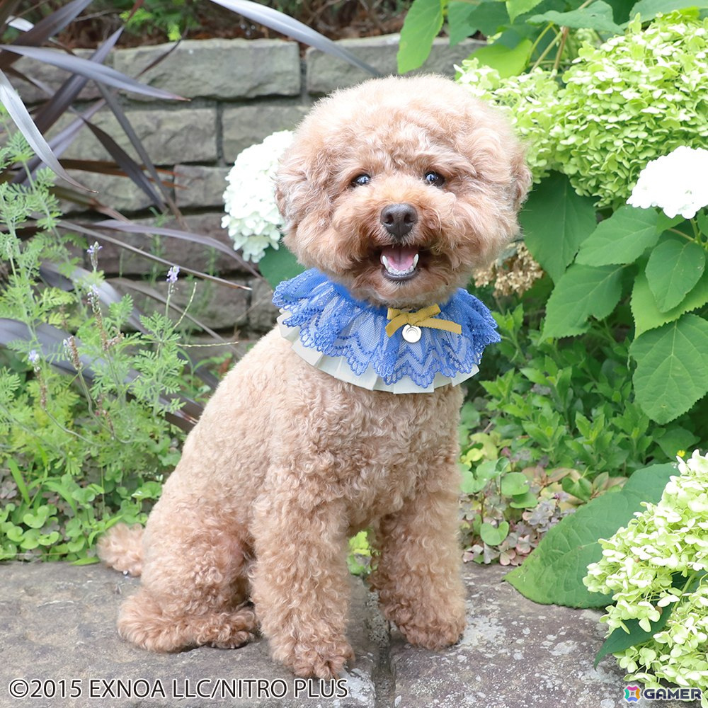 刀剣乱舞ONLINE」と「Melody BasKet」がコラボした三日月宗近、小狐丸
