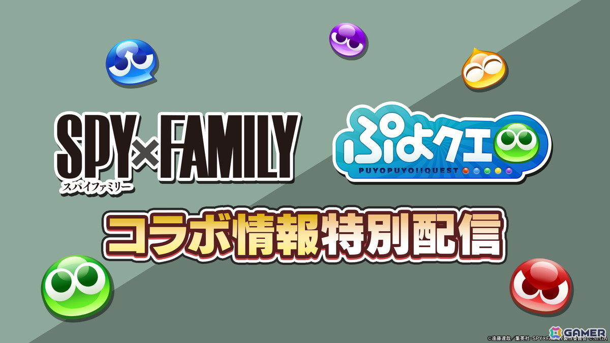 「ぷよぷよ!!クエスト」でTVアニメ「SPY×FAMILY」とのコラボ開催決定！特別配信が8月24日20時より放送の画像