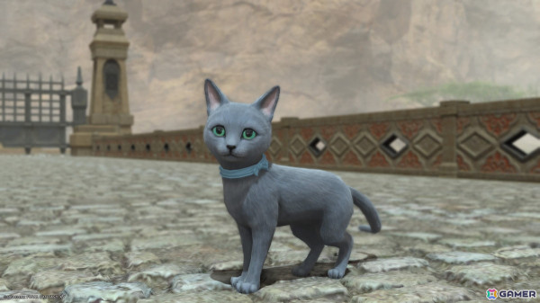 「FF14」でも猫が吸いたい！猫が大好きなヒカセンお気に入りのにゃんこミニオンを紹介の画像14
