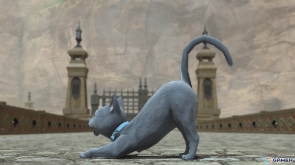 「FF14」でも猫が吸いたい！猫が大好きなヒカセンお気に入りのにゃんこミニオンを紹介の画像15