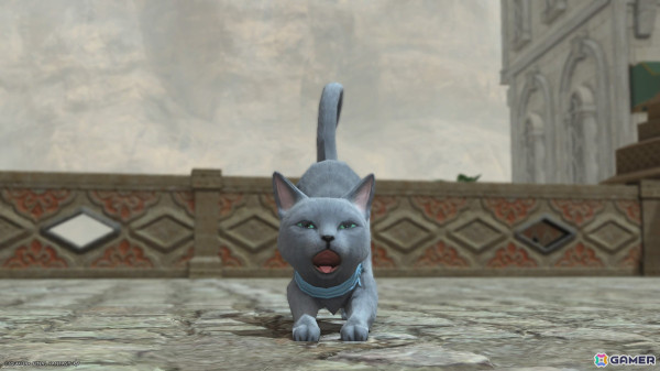 「FF14」でも猫が吸いたい！猫が大好きなヒカセンお気に入りのにゃんこミニオンを紹介の画像16