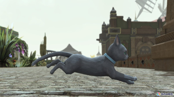 「FF14」でも猫が吸いたい！猫が大好きなヒカセンお気に入りのにゃんこミニオンを紹介の画像17