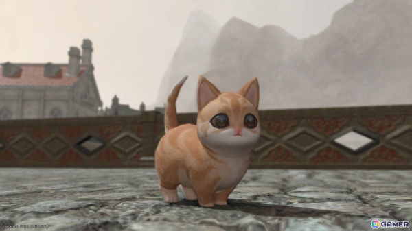 FF14」でも猫が吸いたい！猫が大好きなヒカセンお気に入りのにゃんこ