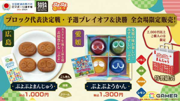 「全国都道府県対抗eスポーツ選手権 2024 SAGA ぷよぷよ部門 ブロック代表決定戦 予選プレイオフ／決勝」は全国7か所のイオンモールで実施！の画像17