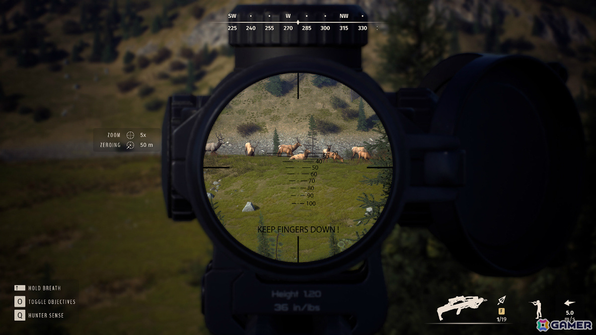 「Way of the Hunter」弓メーカー・Bear ArcheryとのコラボDLCが配信！「コンパウンドボウ：Alaskan XT RTH」などが登場の画像8