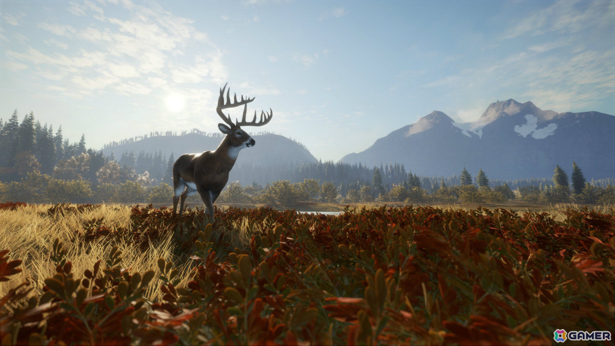 オープンワールド狩猟ゲーム「theHunter: Call of the Wild」PS4/Xbox One版がリリース！最大8人のオンラインマルチプレイにも対応の画像10