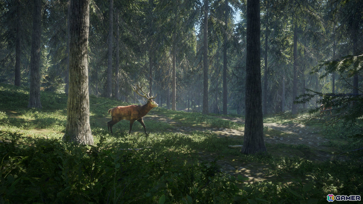 オープンワールド狩猟ゲーム「theHunter: Call of the Wild」PS4/Xbox One版がリリース！最大8人のオンラインマルチプレイにも対応の画像17