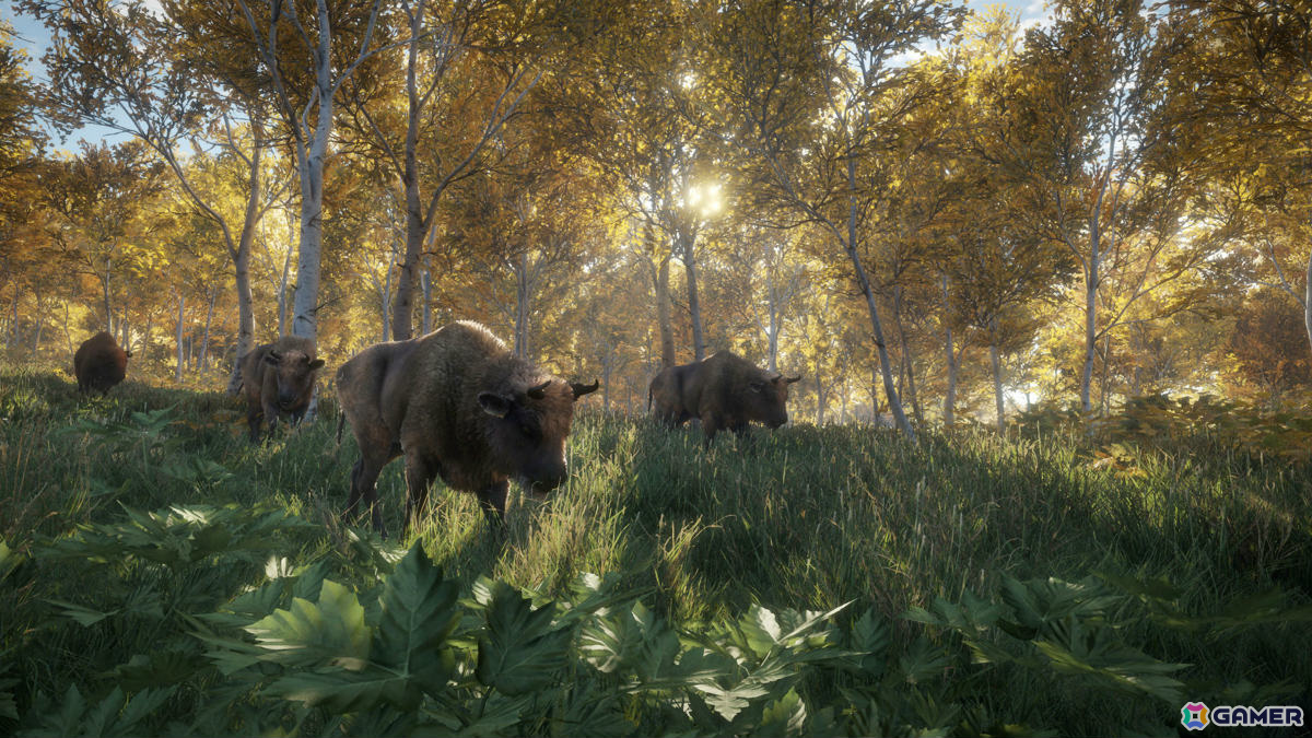 オープンワールド狩猟ゲーム「theHunter: Call of the Wild」PS4/Xbox One版がリリース！最大8人のオンラインマルチプレイにも対応の画像18