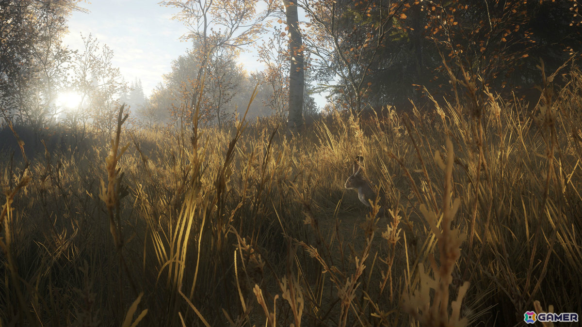オープンワールド狩猟ゲーム「theHunter: Call of the Wild」PS4/Xbox One版がリリース！最大8人のオンラインマルチプレイにも対応の画像8