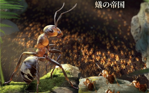 「蟻の帝国－Empire of the Ants」予約特典では特製クリアファイルがもらえる！PS5 Pro Enhancedへの対応も決定