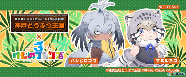 「けものフレンズ3」で「神戸どうぶつ王国」とのコラボイベントが10月18日より実施！【ジっとできない湿地のハンター】ハシビロコウたちが登場の画像3