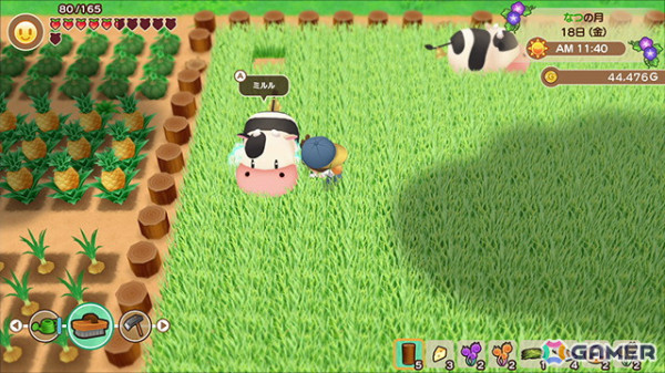 5周年を記念してSwitch版「牧場物語 再会のミネラルタウン BEST PRICE」が3,278円（税込）で12月19日に発売の画像3