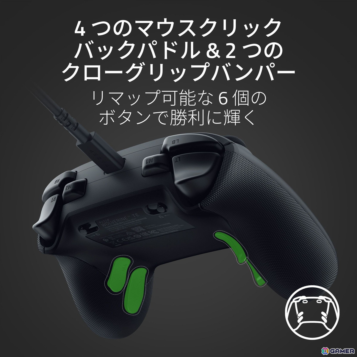 Razer、Xbox Series X|S/PC向けゲーミングコントローラー「Razer Wolverine V3 Tournament Edition」の国内販売を11月8日より開始!の画像
