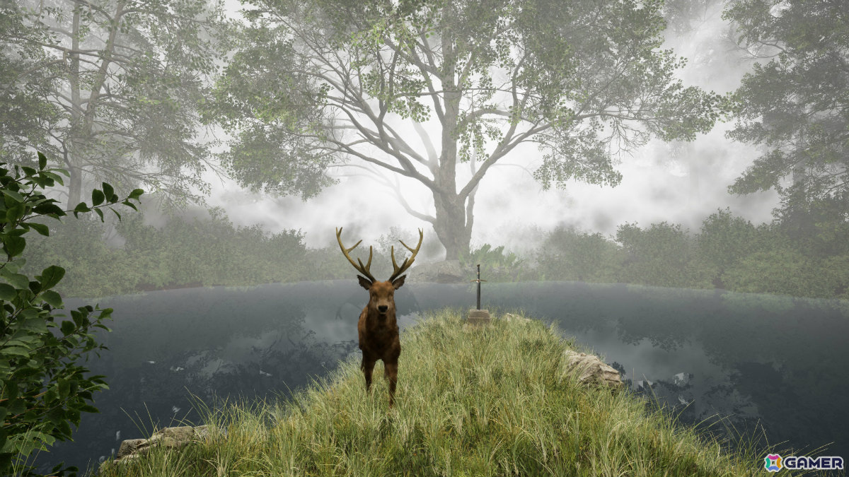 不思議な森から脱出する8番ライクのウォーキングシミュレーター「TheLostWoods / 迷いの森」が2025年1月にリリースの画像3