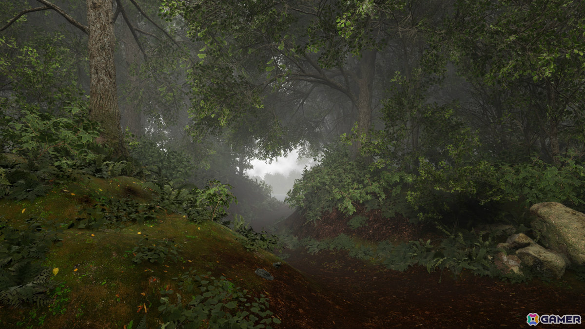 不思議な森から脱出する8番ライクのウォーキングシミュレーター「TheLostWoods / 迷いの森」が2025年1月にリリースの画像4