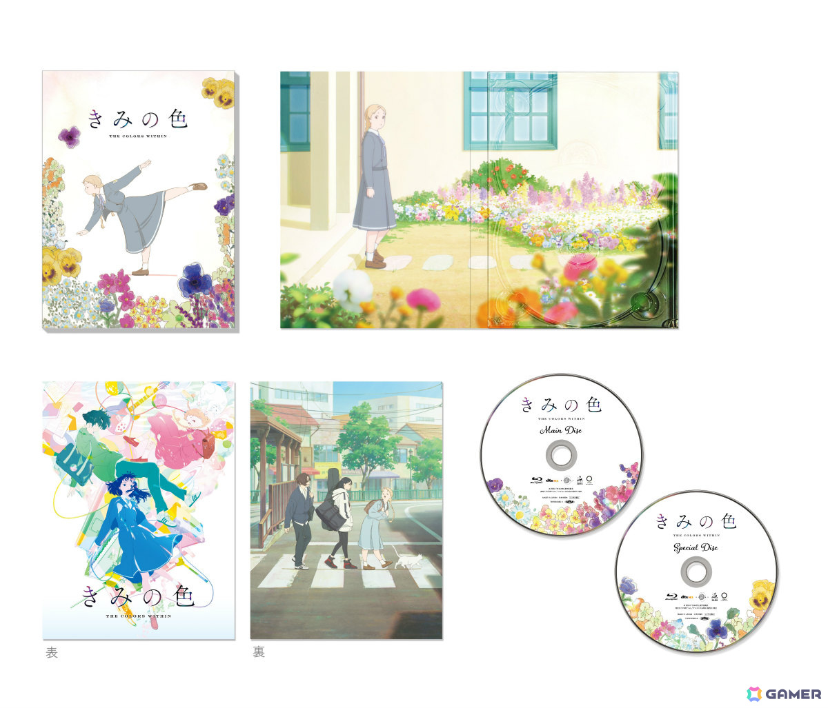 豪華版展開図