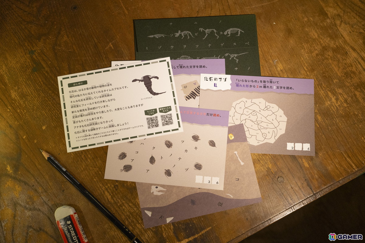 化石に関する謎だらけ!!