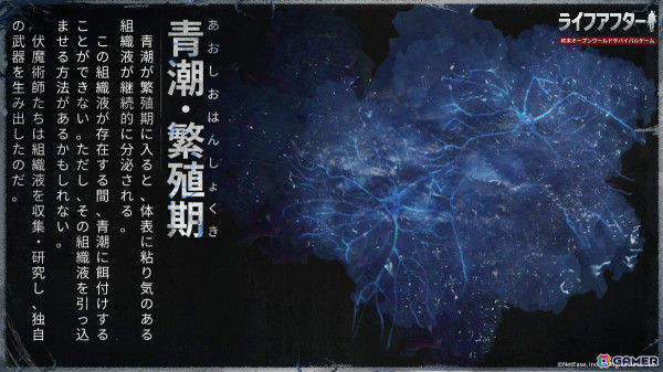 「ライフアフター」シーズン7が12月6日より開始！神秘的な荒村の謎を解き明かすウェブイベントも実施中の画像4