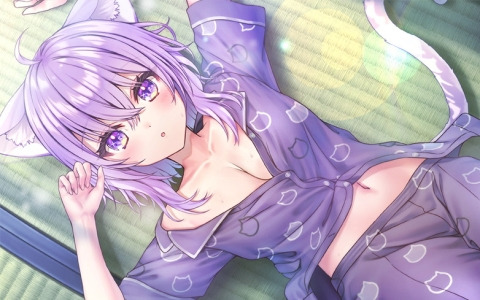 「おかゆにゅ～～む！」完全生産限定版とhololive official Editionに付属する特典の情報が追加公開！キャンバスアートなどの画像イメージが明らかに