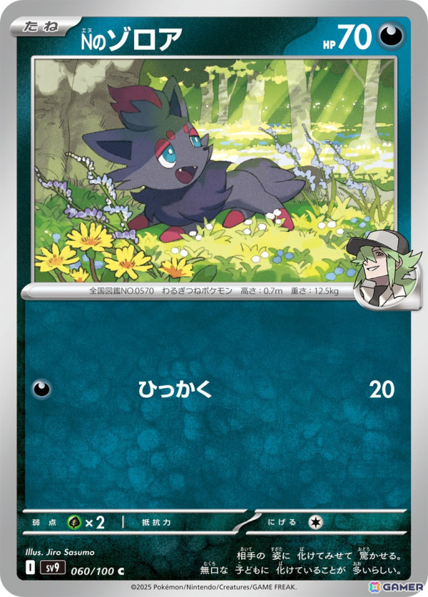 「ポケモンカードゲーム」“トレーナーのポケモン”を収録した拡張パック「バトルパートナーズ」が2025年1月24日に発売！の画像3