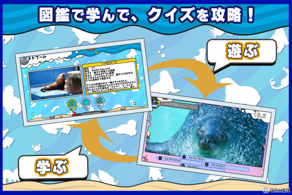 水族館「伊勢シーパラダイス」を舞台にした「いつでも伊勢シーパラダイス 距離感ゼロの水族館図鑑」が2025年7月にSwitchで発売！の画像3