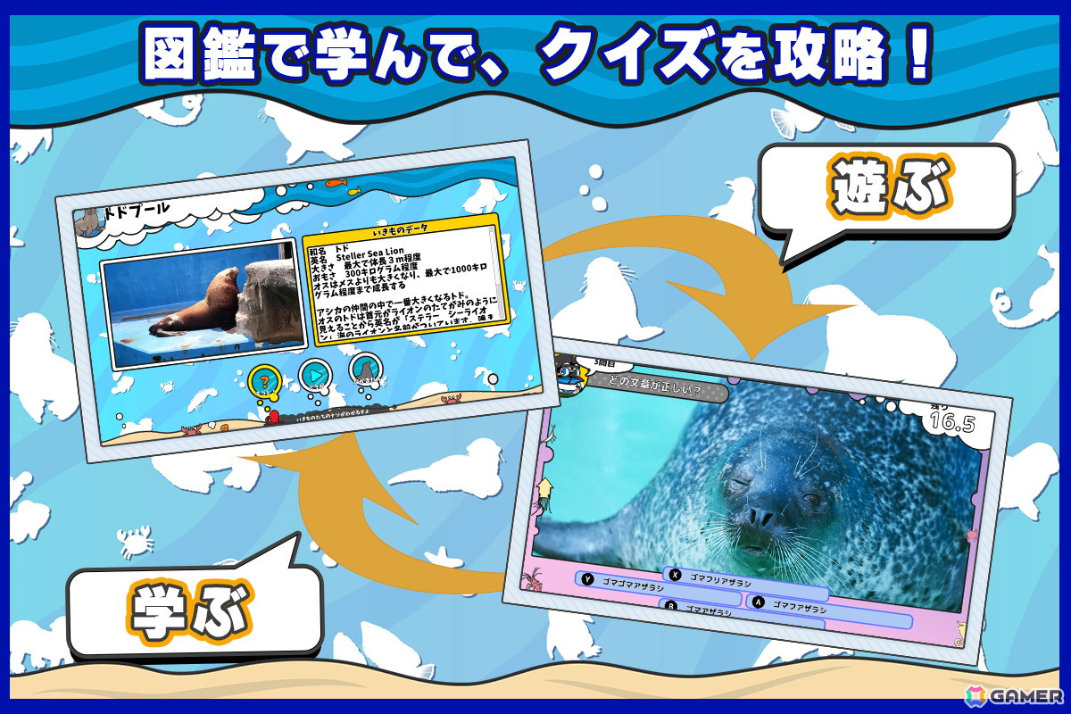水族館「伊勢シーパラダイス」を舞台にした「いつでも伊勢シーパラダイス 距離感ゼロの水族館図鑑」が2025年7月にSwitchで発売！の画像