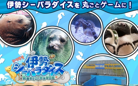 水族館「伊勢シーパラダイス」を舞台にした「いつでも伊勢シーパラダイス 距離感ゼロの水族館図鑑」が2025年7月にSwitchで発売！
