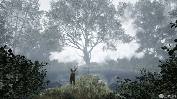 不思議な森からの脱出を目指す8番出口ライクなウォーキングシミュレーター「TheLostWoods / 迷いの森」が配信！の画像2