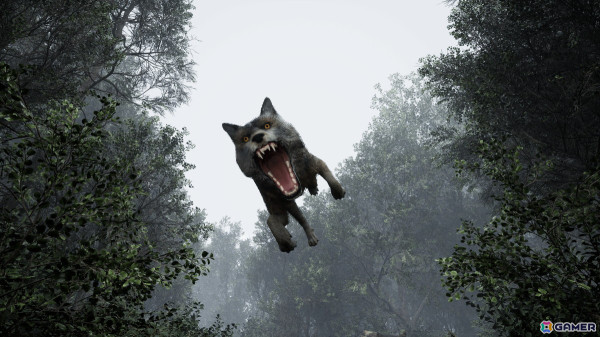 不思議な森からの脱出を目指す8番出口ライクなウォーキングシミュレーター「TheLostWoods / 迷いの森」が配信！の画像3