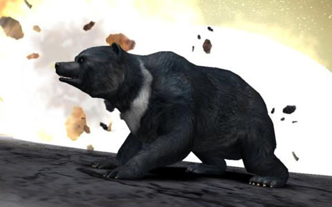 バンダイナムコアミューズメント、キッズカードバトルゲーム「Animal Kaiser+（アニマルカイザープラス）」アジア・オセアニア8カ国で順次稼働