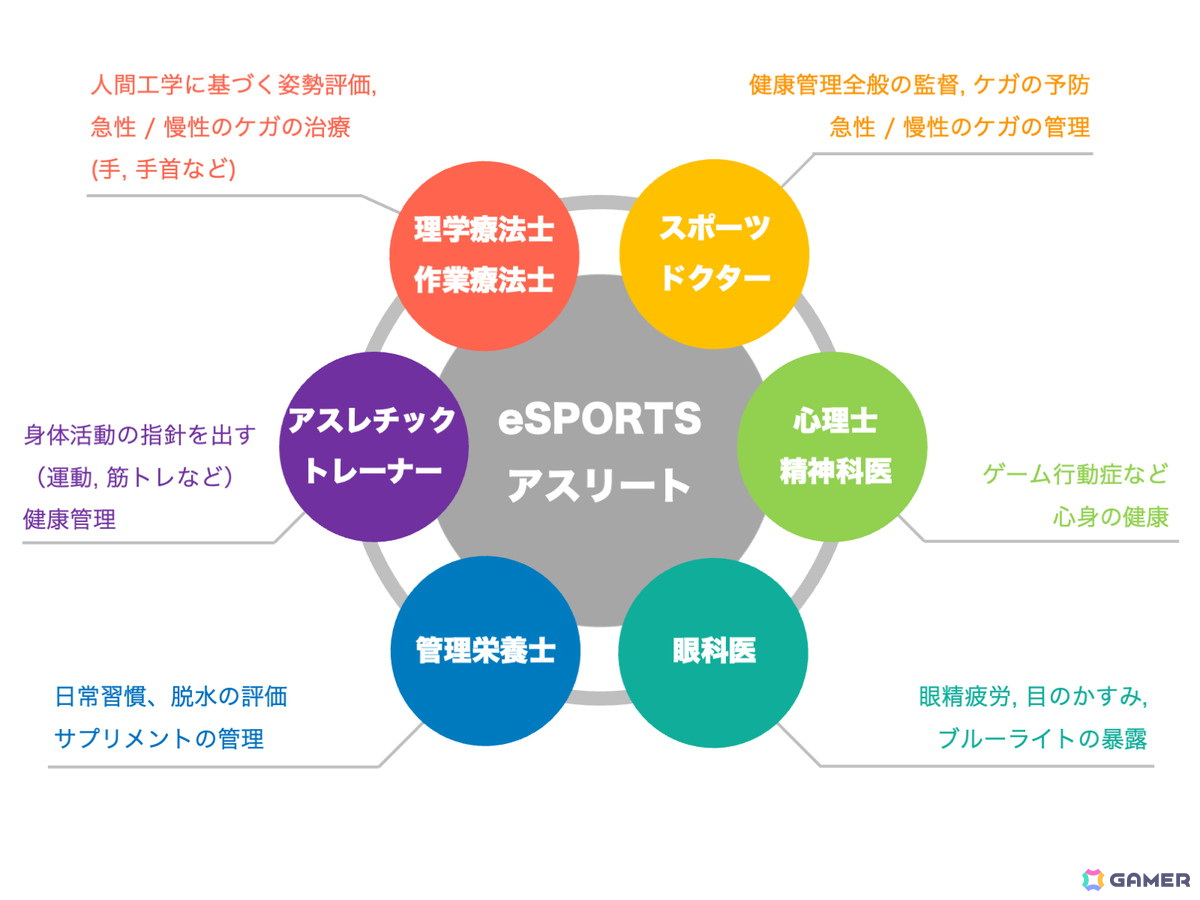 eSport health team model (BMJ Open Sport Exerc Med 2019;5(1):e000467.)
