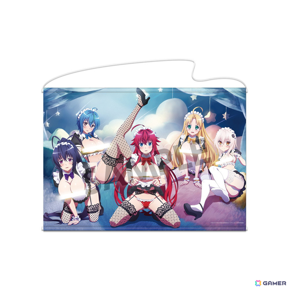 メディコス・エンタテインメント　ハイスクールD×D 描き下ろし複製原画 ハイスクールD×D HERO]描き下ろし複製原画（リアス・グレモリー