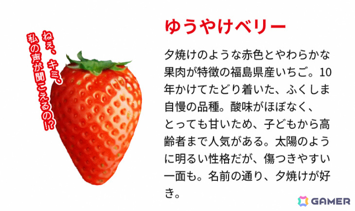 いちごと恋するSLG「いきなりストロベリー」を福島県がリリース――いちごと対話しながらクイズに答えてハッピーエンドを目指せの画像