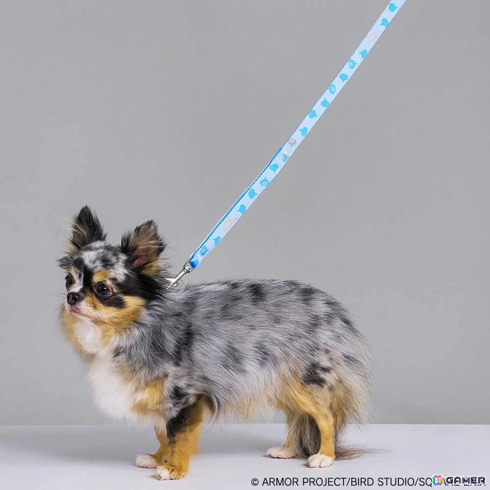 スクウェア・エニックスのペットグッズブランド「SQEX PETs」より「ドラゴンクエスト」「ファイナルファンタジー」「キングダム ハーツ」グッズが発売決定!の画像