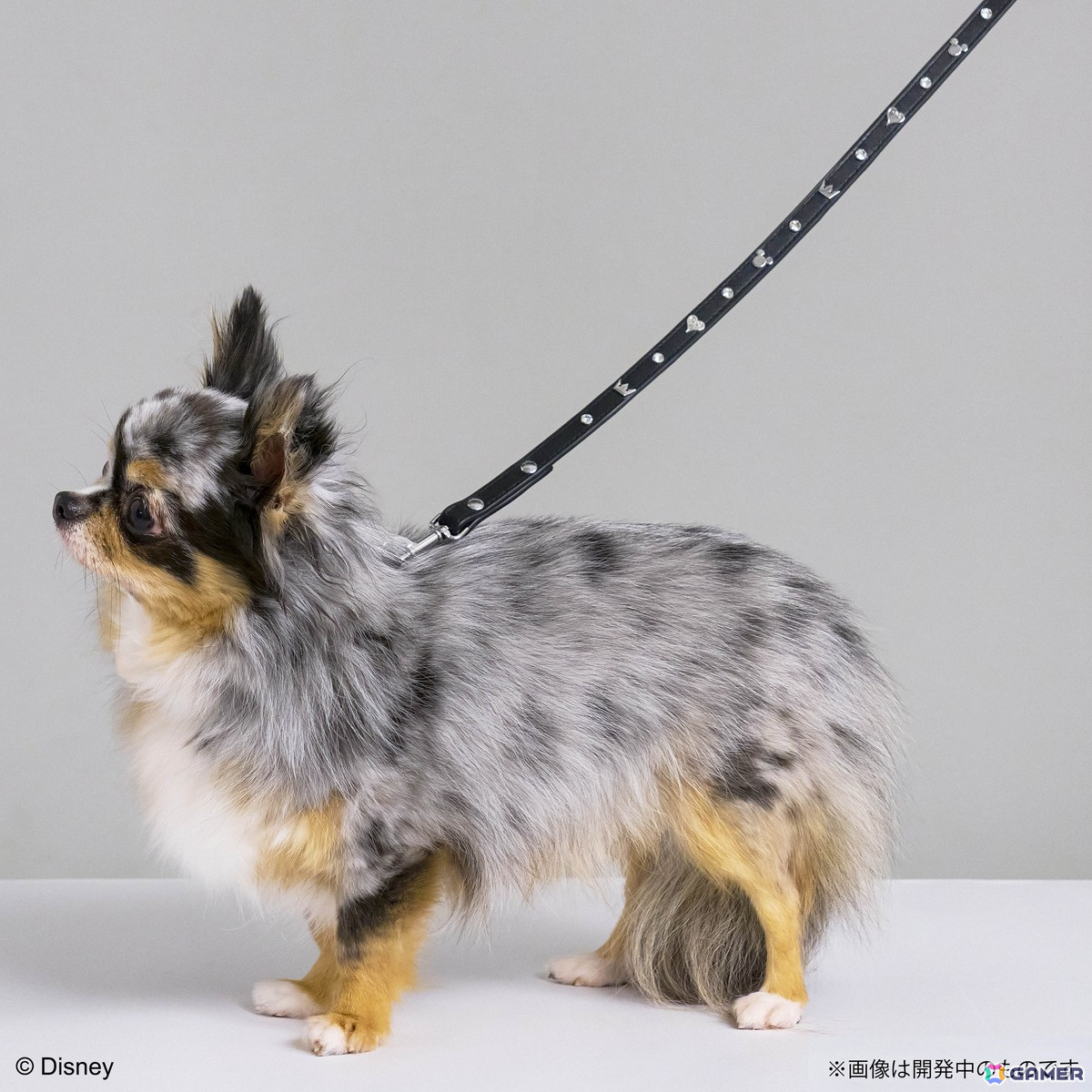 スクウェア・エニックスのペットグッズブランド「SQEX PETs」より「ドラゴンクエスト」「ファイナルファンタジー」「キングダム ハーツ」グッズが発売決定!の画像