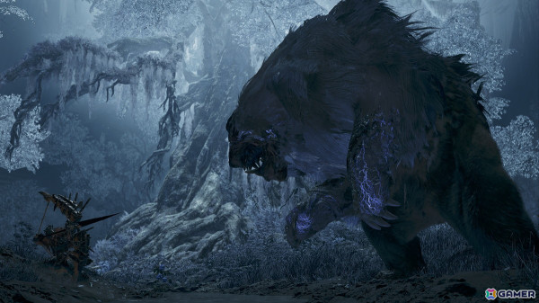 「モンスターハンターワイルズ」ハンター同士の交流が楽しめる新拠点「大集会所」やタマミツネが登場！無料タイトルアップデート第1弾が配信の画像4
