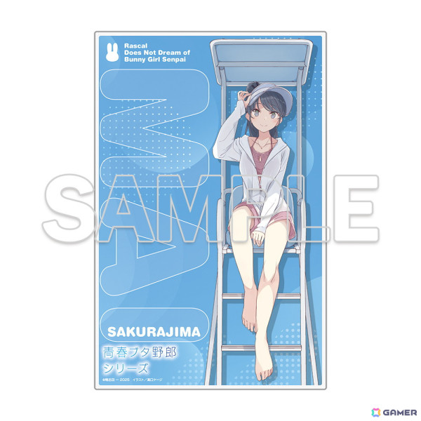 「青ブタ」短編小説集「青春ブタ野郎はビーチクイーンの夢を見ない＋」が7月10日に発売！限定アクリルプレート付き有償特典版もの画像