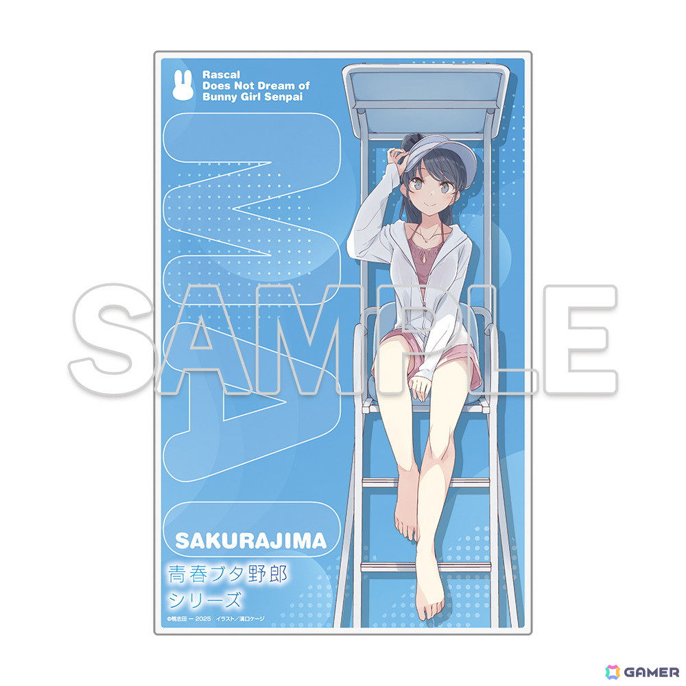 「青ブタ」短編小説集「青春ブタ野郎はビーチクイーンの夢を見ない＋」が7月10日に発売！限定アクリルプレート付き有償特典版もの画像2