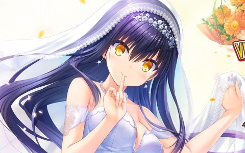 「ビジュアルアーツ冬フェス2024」の一部グッズが再販決定！「サマポケRBキャラクッション」「やがてひとつになる道」新作グッズもVA STOREで発売