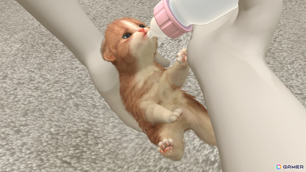 犬と猫をお世話して成長を体験できるペットコミュニケーションアプリ「with My Buddy」がApple Arcadeにて配信！の画像2