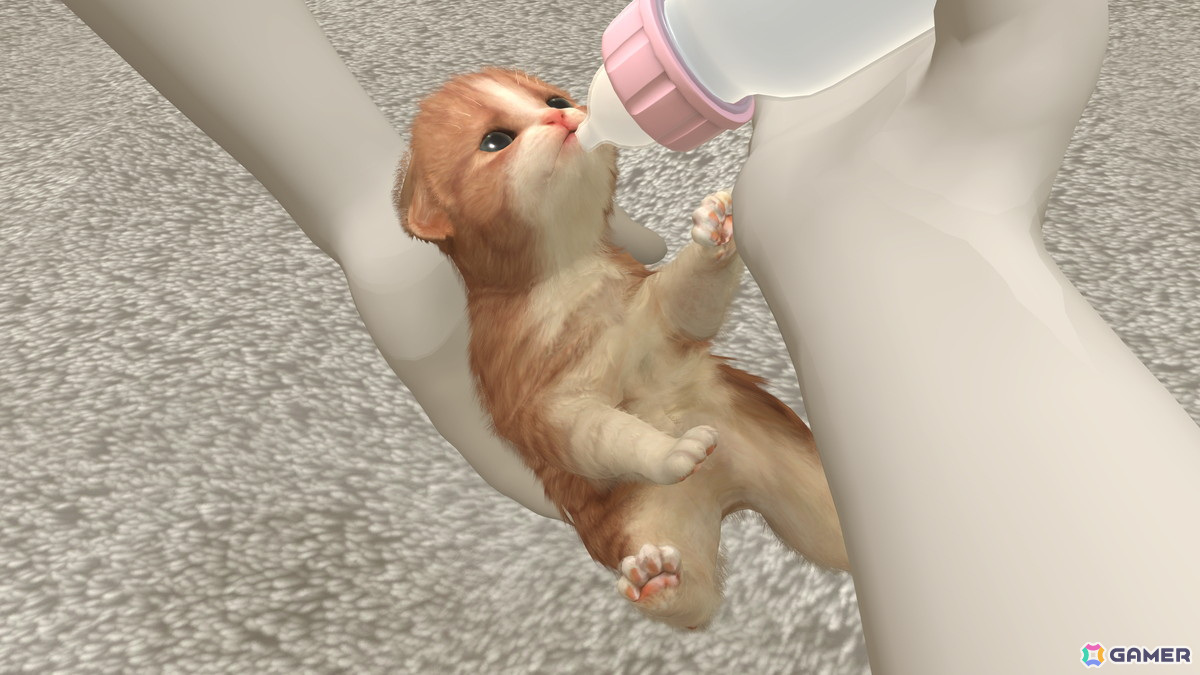 犬と猫をお世話して成長を体験できるペットコミュニケーションアプリ「with My Buddy」がApple Arcadeにて配信！の画像